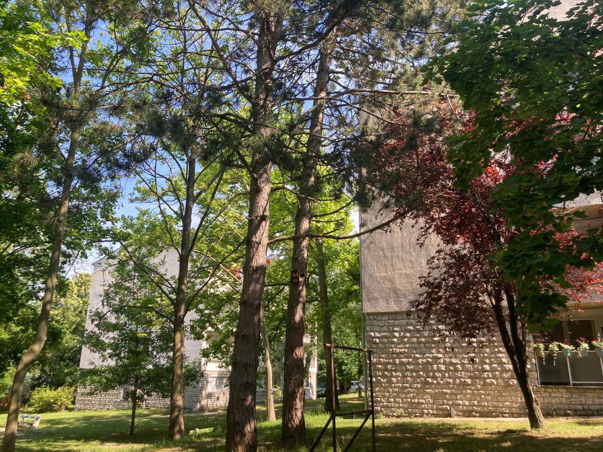 Oázis Apartman Veszprém Esterno foto