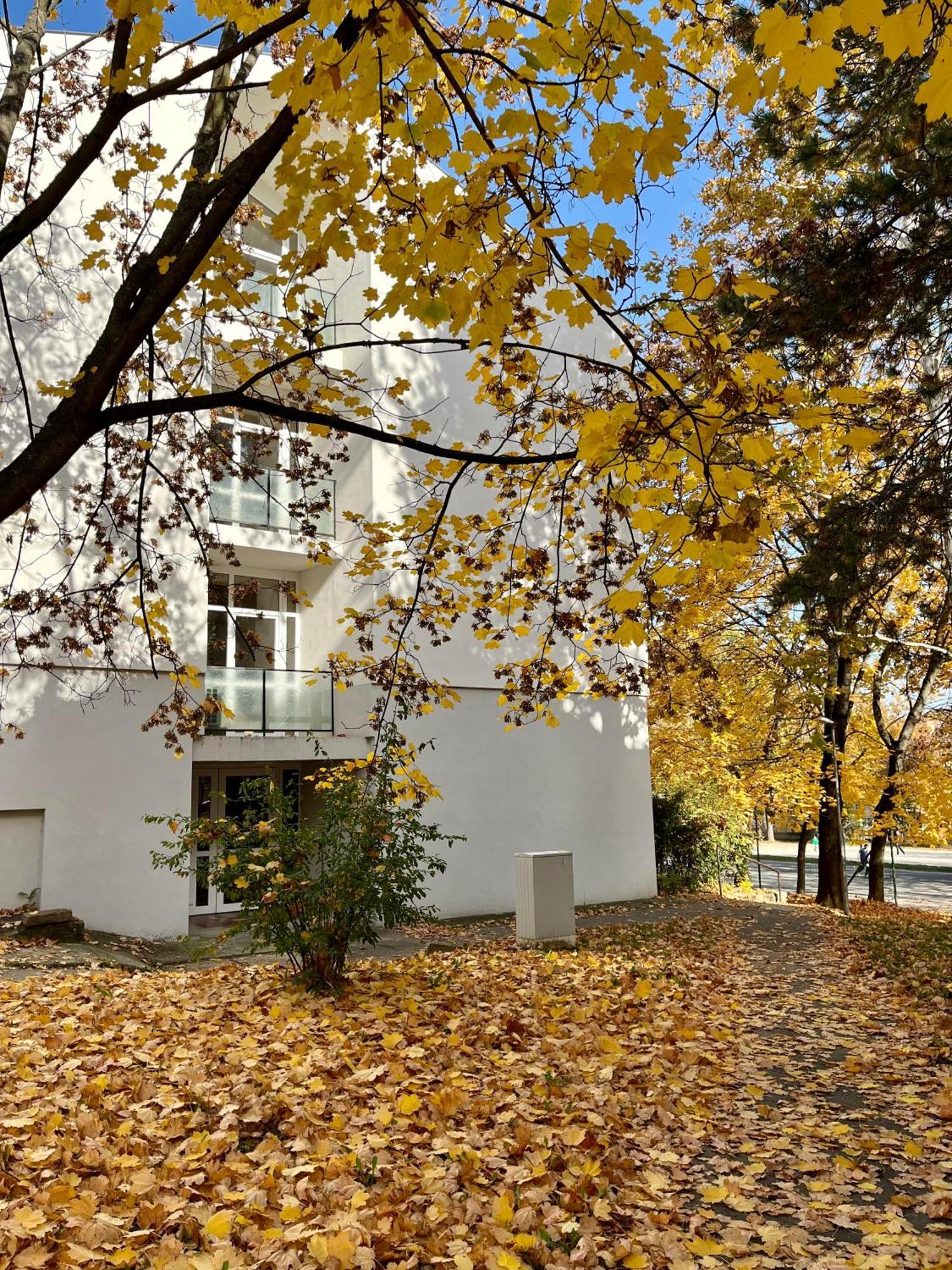 Oázis Apartman Veszprém Esterno foto